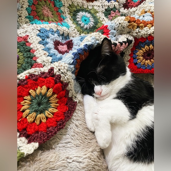 Meet your seller/buyer! 💕 - Picture 5 of 5